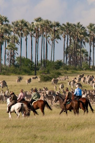 horse riding